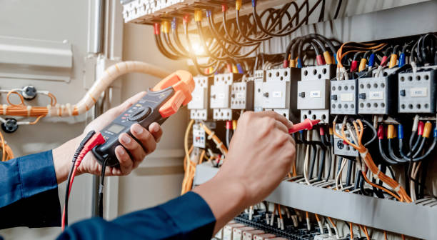 Best Electric Panel Repair  in Whitehouse, TX